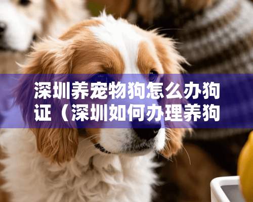 深圳养宠物狗怎么办狗证（深圳如何办理养狗证）