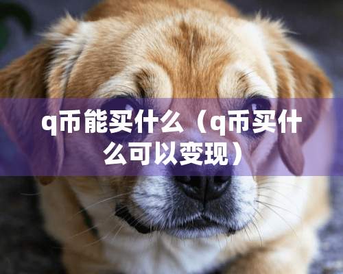 q币能买什么（q币买什么可以变现）