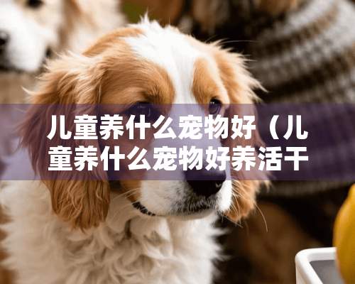 儿童养什么宠物好（儿童养什么宠物好养活干净又健康）