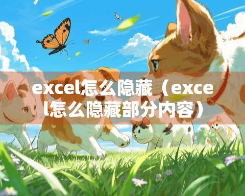 excel怎么隐藏（excel怎么隐藏部分内容）