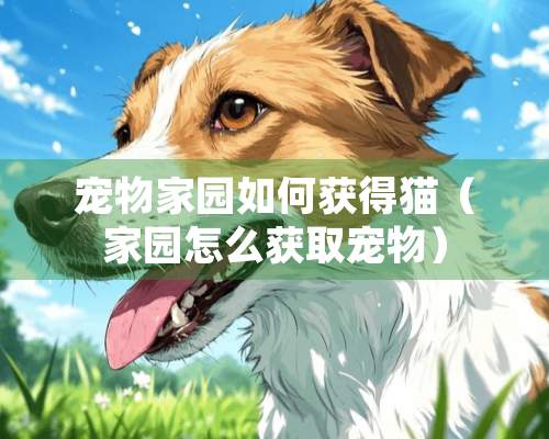 宠物家园如何获得猫（家园怎么获取宠物）