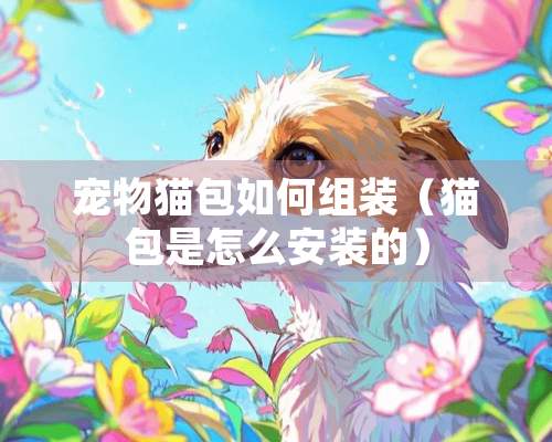 宠物猫包如何组装（猫包是怎么安装的）