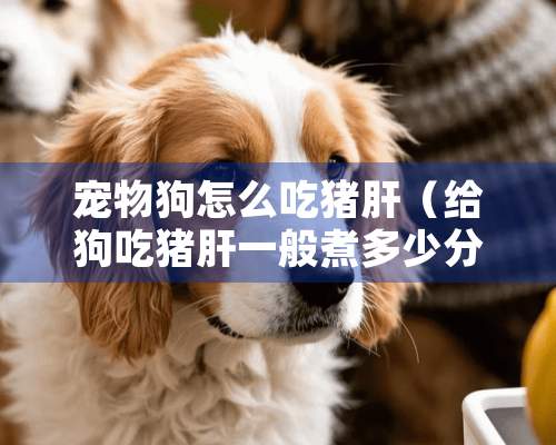 宠物狗怎么吃猪肝（给狗吃猪肝一般煮多少分钟）