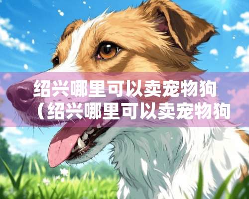 绍兴哪里可以卖宠物狗（绍兴哪里可以卖宠物狗的）