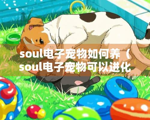 soul电子宠物如何养（soul电子宠物可以进化吗）