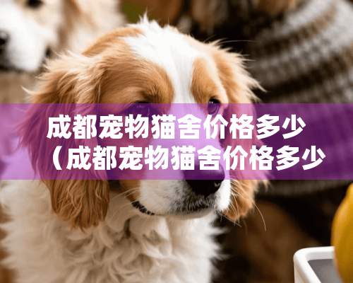 成都宠物猫舍价格多少（成都宠物猫舍价格多少钱）