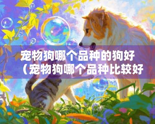 宠物狗哪个品种的狗好（宠物狗哪个品种比较好）