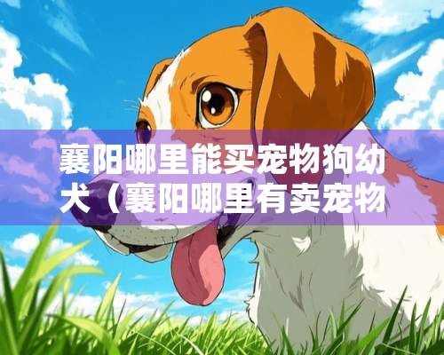 襄阳哪里能买宠物狗幼犬（襄阳哪里有卖宠物狗的）