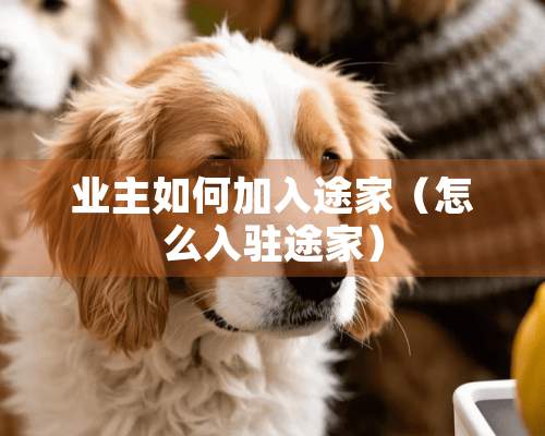 业主如何加入途家（怎么入驻途家）