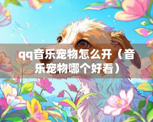 qq音乐宠物怎么开（音乐宠物哪个好看）