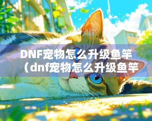 DNF宠物怎么升级鱼竿（dnf宠物怎么升级鱼竿等级）