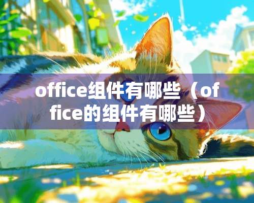 office组件有哪些（office的组件有哪些）