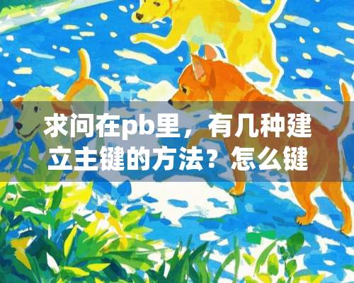 求问在pb里，有几种建立主键的方法？怎么键呢？