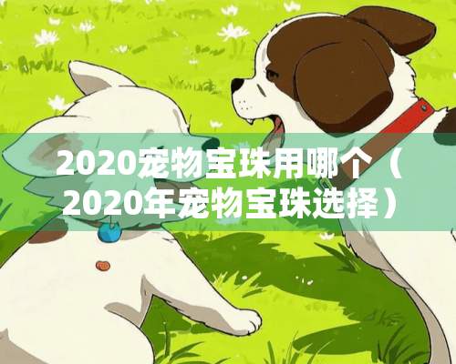 2020宠物宝珠用哪个（2020年宠物宝珠选择）