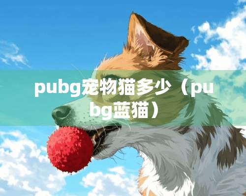 pubg宠物猫多少（pubg蓝猫）