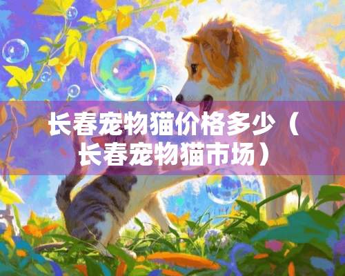 长春宠物猫价格多少（长春宠物猫市场）