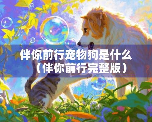 伴你前行宠物狗是什么（伴你前行完整版）