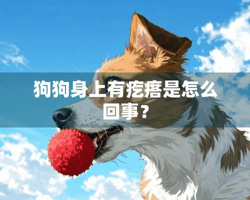 狗狗身上有疙瘩是怎么回事？