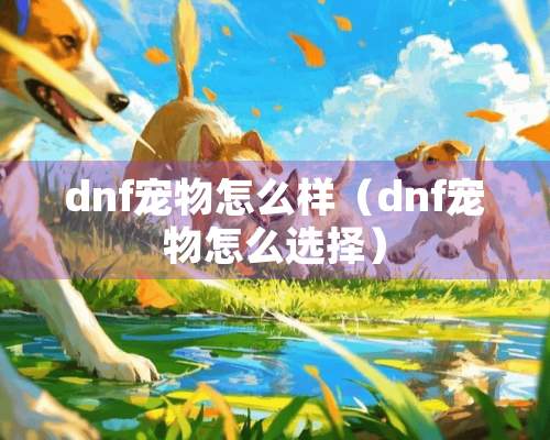 dnf宠物怎么样（dnf宠物怎么选择）