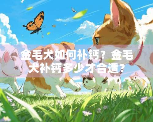 金毛犬如何补钙？金毛犬补钙多少才合适？