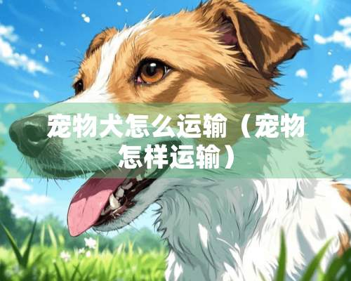 宠物犬怎么运输（宠物怎样运输）