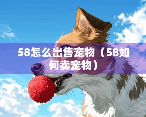 58怎么出售宠物（58如何卖宠物）