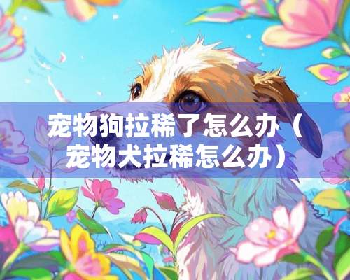 宠物狗拉稀了怎么办（宠物犬拉稀怎么办）