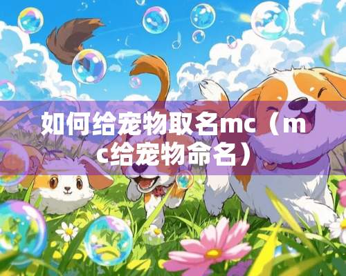 如何给宠物取名mc（mc给宠物命名）