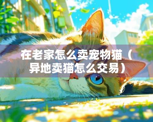 在老家怎么卖宠物猫（异地卖猫怎么交易）