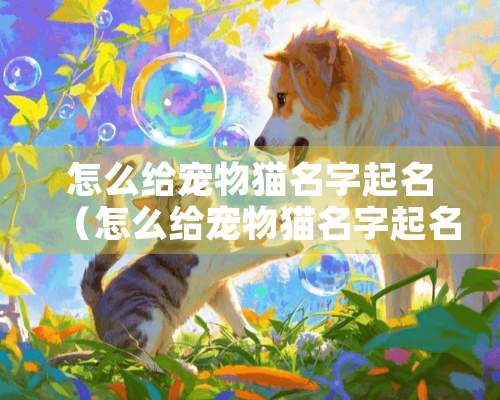 怎么给宠物猫名字起名（怎么给宠物猫名字起名好听）