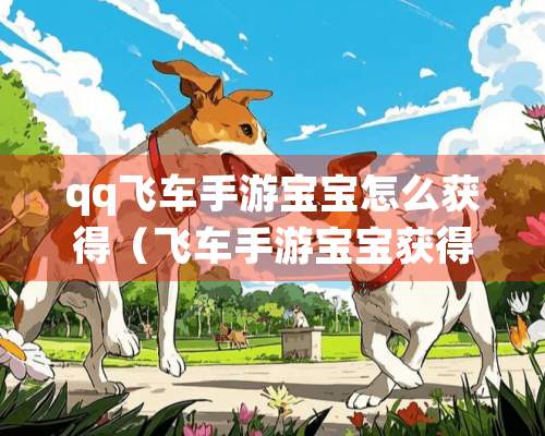 qq飞车手游宝宝怎么获得（飞车手游宝宝获得方法介绍）