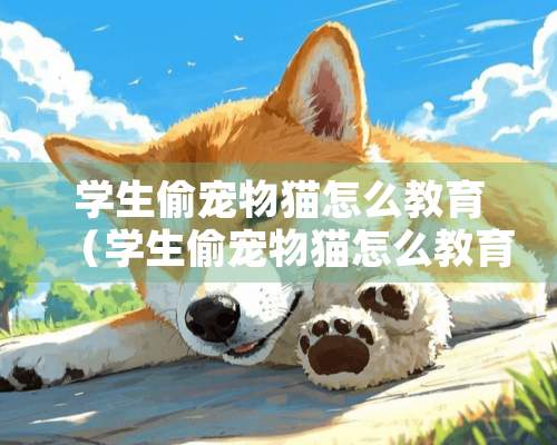 学生偷宠物猫怎么教育（学生偷宠物猫怎么教育孩子）