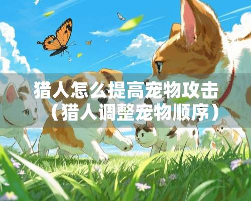 猎人怎么提高宠物攻击（猎人调整宠物顺序）