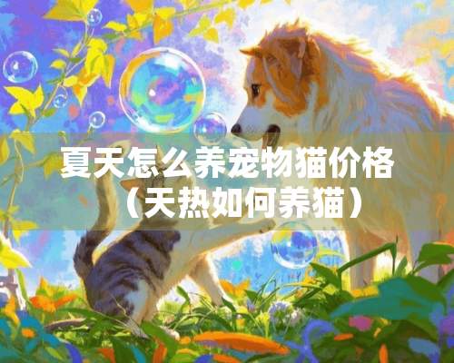 夏天怎么养宠物猫价格（天热如何养猫）