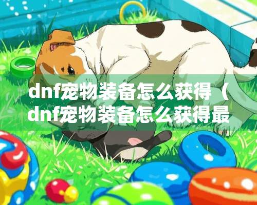 dnf宠物装备怎么获得（dnf宠物装备怎么获得最快）