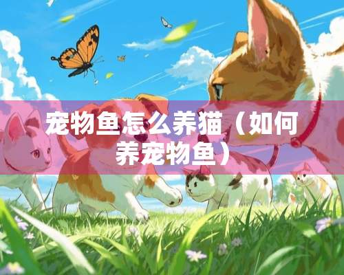 宠物鱼怎么养猫（如何养宠物鱼）