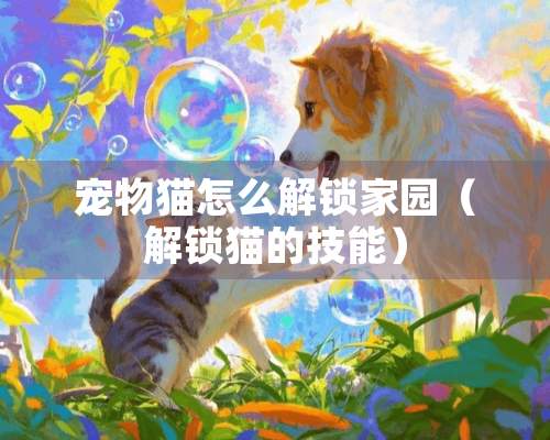 宠物猫怎么解锁家园（解锁猫的技能）