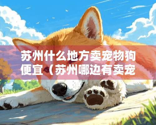 苏州什么地方卖宠物狗便宜（苏州哪边有卖宠物的）