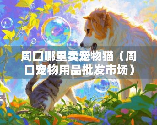 周口哪里卖宠物猫（周口宠物用品批发市场）