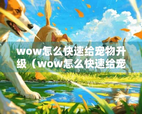 wow怎么快速给宠物升级（wow怎么快速给宠物升级技能）