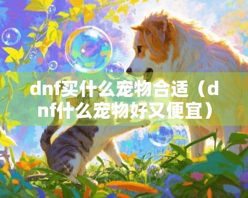 dnf买什么宠物合适（dnf什么宠物好又便宜）