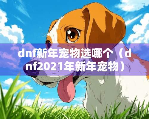 dnf新年宠物选哪个（dnf2021年新年宠物）