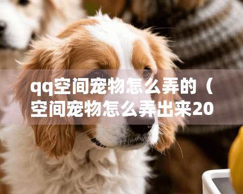 qq空间宠物怎么弄的（空间宠物怎么弄出来2021）