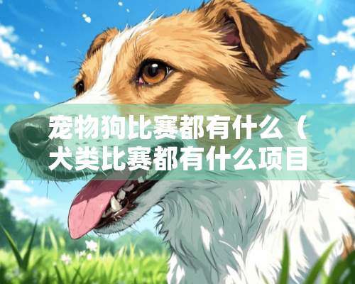 宠物狗比赛都有什么（犬类比赛都有什么项目）