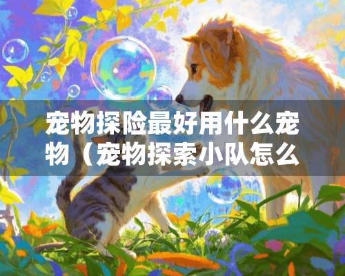 宠物探险最好用什么宠物（宠物探索小队怎么玩）