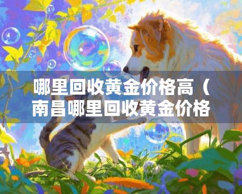 哪里回收黄金价格高（南昌哪里回收黄金价格高）