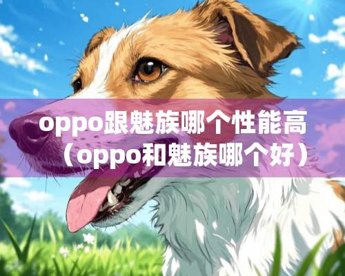 oppo跟魅族哪个性能高（oppo和魅族哪个好）