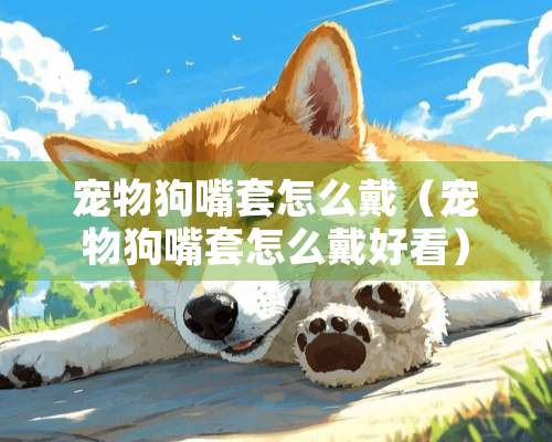 宠物狗嘴套怎么戴（宠物狗嘴套怎么戴好看）