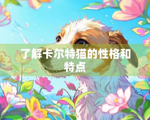 了解卡尔特猫的性格和特点