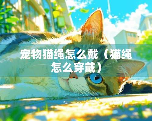 宠物猫绳怎么戴（猫绳怎么穿戴）